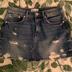 Zara Skirt